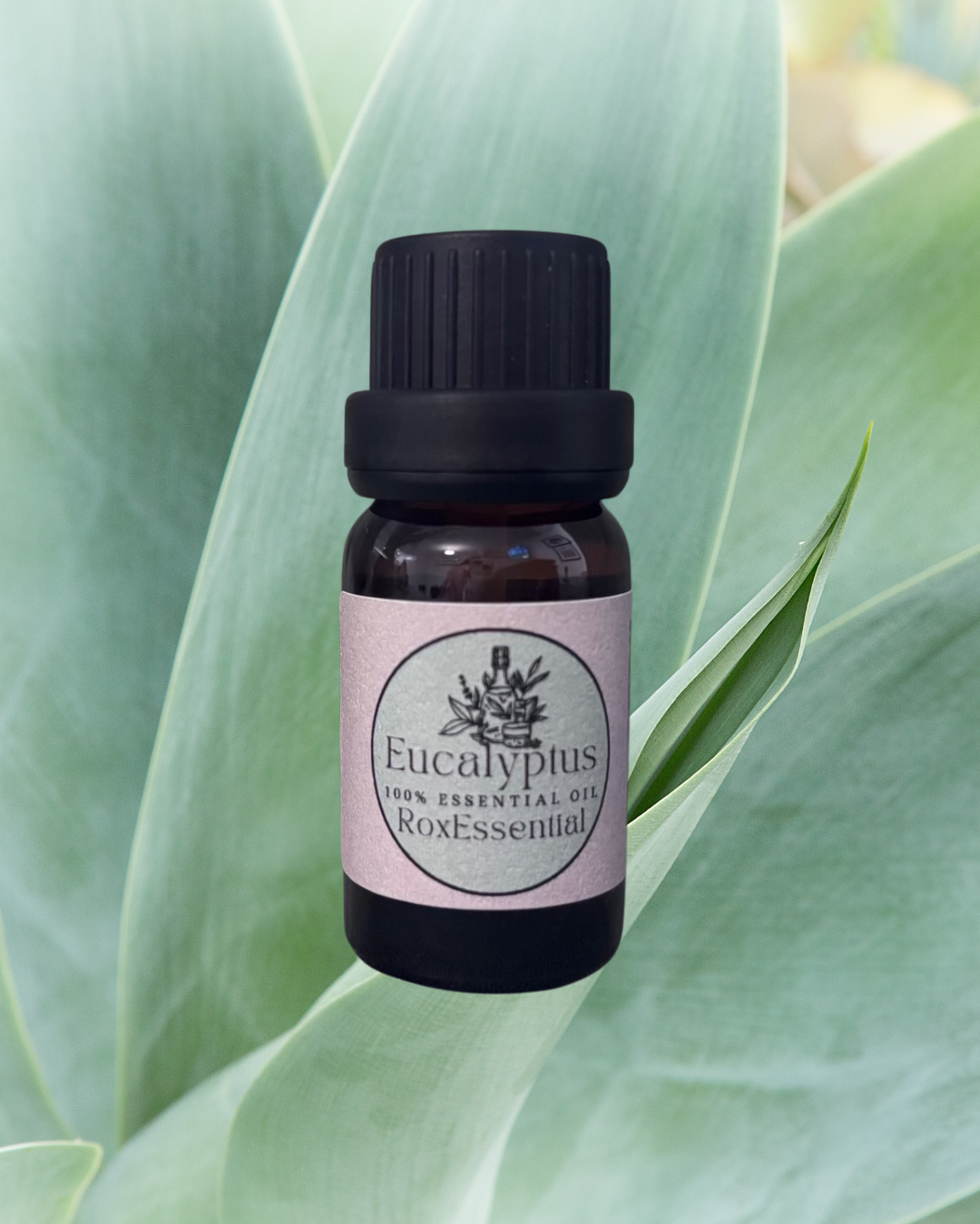Eucalyptus Essential Oil (Eucalyptus globulus) – 100% Pure & Natural
