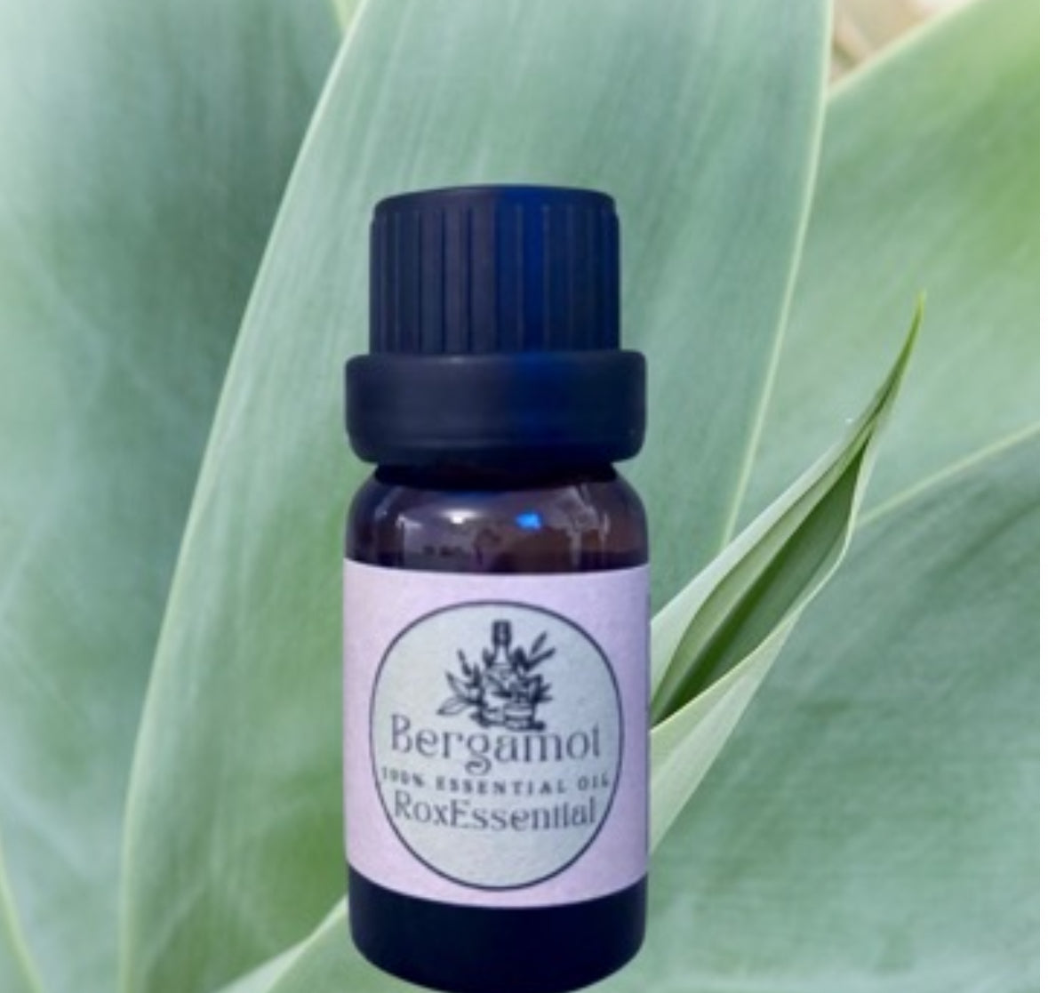 Bergamot Essential Oil (Citrus bergamia) – 100% Pure & Natural