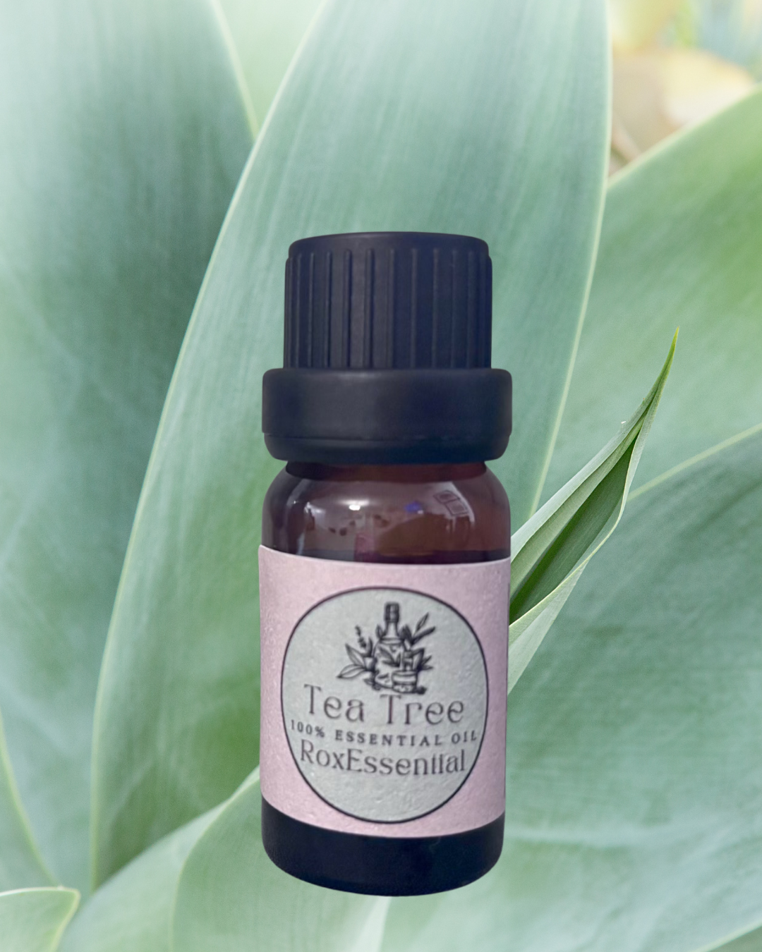 Tea Tree Essential Oil (Melaleuca alternifolia) – 100% Pure & Natural