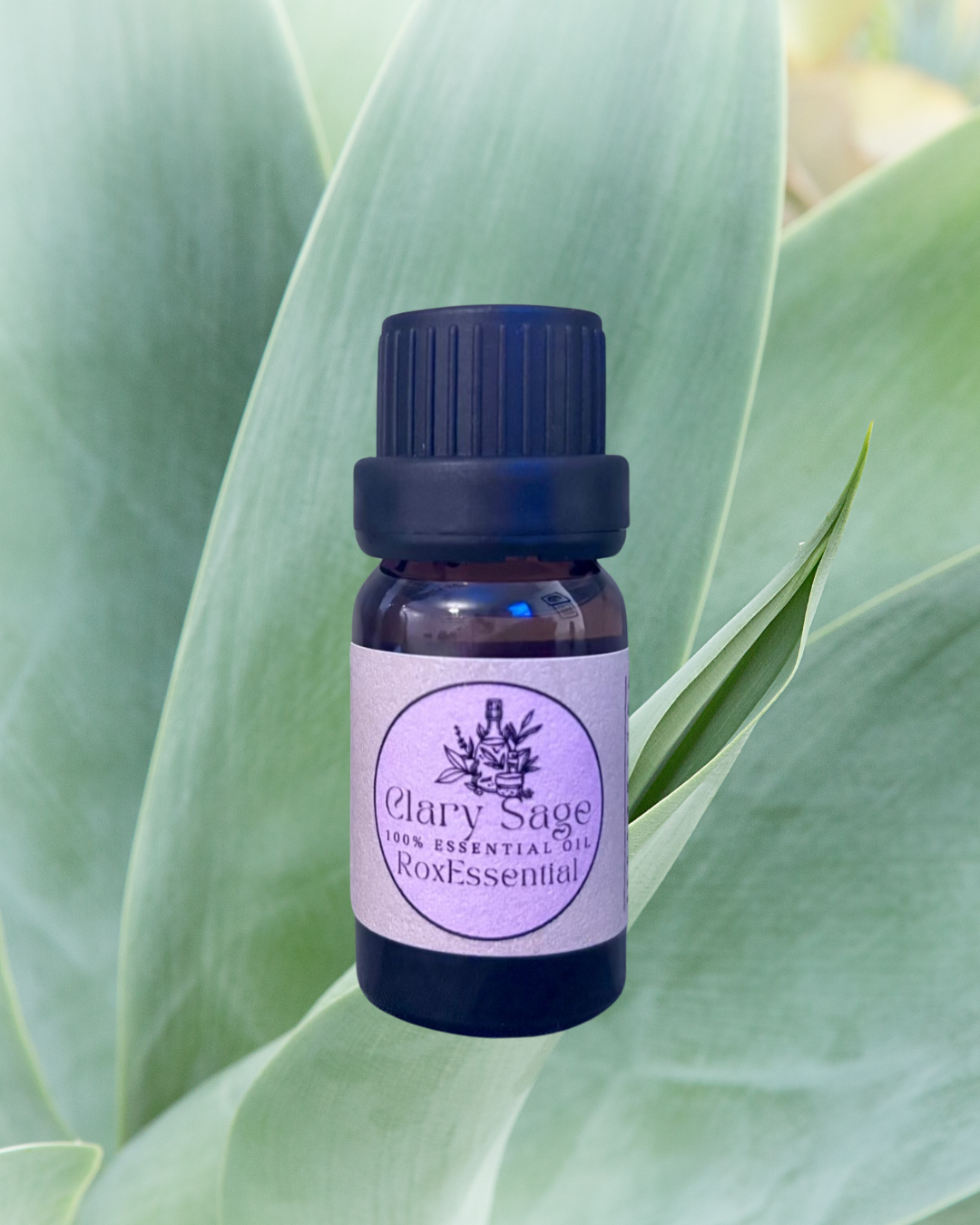 Clary Sage Essential Oil (Salvia sclarea) – 100% Pure & Natural